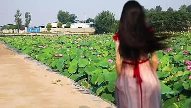 奔跑的女孩儿、草坪上、莲花池边视频的预览图